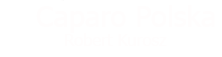 Caparo Polska - Cybersecurity